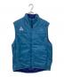 NIKE ACG（ナイキエーシージー）の古着「Team USA Olympic Vest」｜ブルー