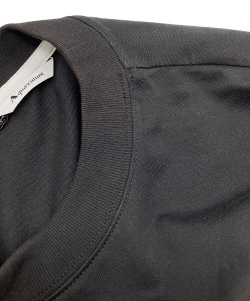 Aquascutum（アクアスキュータム）Aquascutum (アクアスキュータム) クルーネックTシャツ ブラック サイズ:8の古着・服飾アイテム