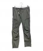 ARC'TERYXアークテリクス）の古着「PALISADE PANT　22401-121983」｜グレー