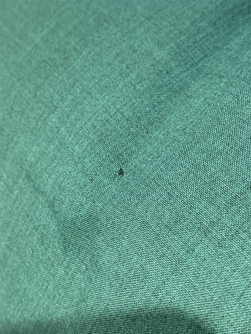 NUMBER (N)INE（ナンバーナイン）NUMBER (N)INE (ナンバーナイン) ダウンベスト グリーン サイズ:2の古着・服飾アイテム