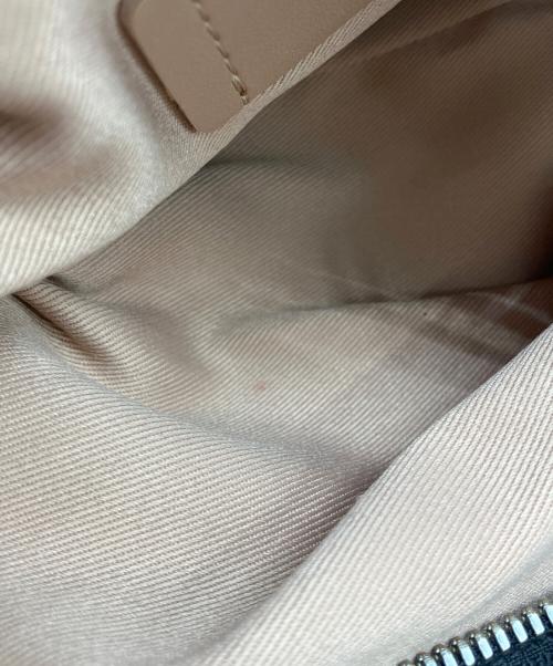 GIANNI CHIARINI（ジャンニ キアリーニ）GIANNI CHIARINI (ジャンニ キアリーニ) ALIFA/アリファレザーショルダーバッグ グレーの古着・服飾アイテム