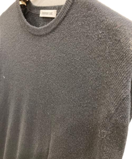 EVERYDAY I LIKE.（エヴリデイ アイ ライク）EVERYDAY I LIKE. (エヴリデイ アイ ライク) cariaggi sheerニット ブラック サイズ:Freeの古着・服飾アイテム