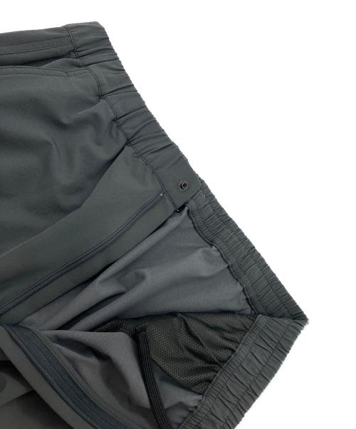 THE NORTH FACE（ザ ノース フェイス）THE NORTH FACE (ザ ノース フェイス) ドーロライトパンツ グレー サイズ:Lの古着・服飾アイテム