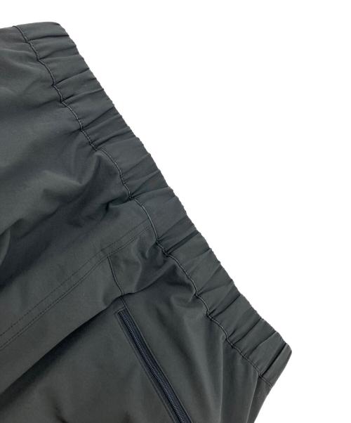 THE NORTH FACE（ザ ノース フェイス）THE NORTH FACE (ザ ノース フェイス) ドーロライトパンツ グレー サイズ:Lの古着・服飾アイテム