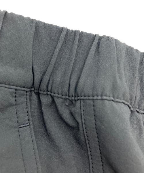 THE NORTH FACE（ザ ノース フェイス）THE NORTH FACE (ザ ノース フェイス) ドーロライトパンツ グレー サイズ:Lの古着・服飾アイテム
