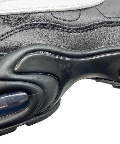 NIKE（ナイキ）NIKE (ナイキ) W AIR MAX PLUS ブラック サイズ:US12の古着・服飾アイテム