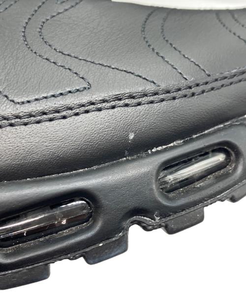NIKE（ナイキ）NIKE (ナイキ) W AIR MAX PLUS ブラック サイズ:US12の古着・服飾アイテム