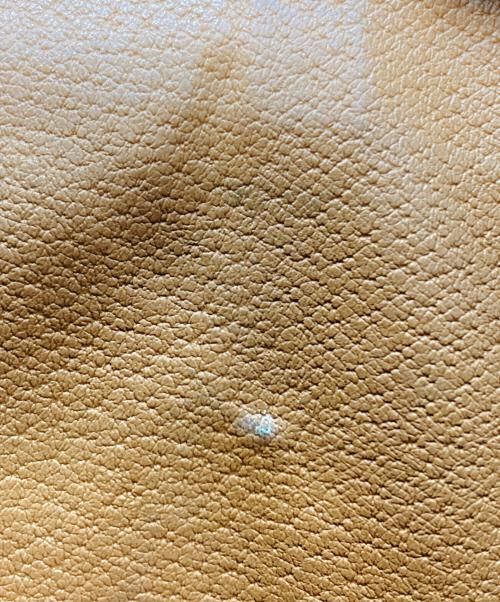 CELINE（セリーヌ）CELINE (セリーヌ) マカダム柄 2WAYショルダーバッグ ブラウンの古着・服飾アイテム