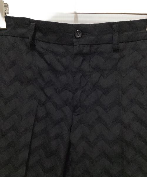COMME des GARCONS HOMME PLUS（コムデギャルソンオムプリュス）COMME des GARCONS HOMME PLUS (コムデギャルソンオムプリュス) 刺繍パンツ ブラック サイズ:Sの古着・服飾アイテム