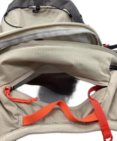 SALOMON（サロモン）SALOMON (サロモン) XT15 フェザーグレー×キトゥン サイズ:背面サイズ48cm/容量15Lの古着・服飾アイテム