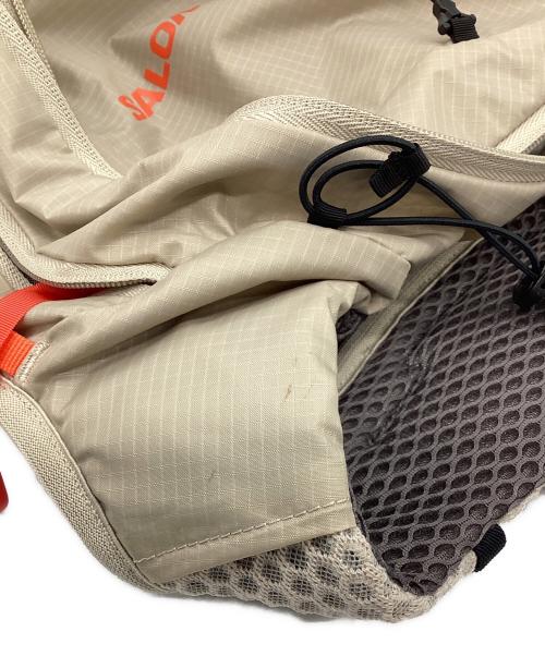 SALOMON（サロモン）SALOMON (サロモン) XT15 フェザーグレー×キトゥン サイズ:背面サイズ48cm/容量15Lの古着・服飾アイテム