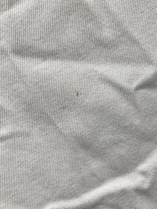 AURALEE（オーラリー）AURALEE (オーラリー) HARD TWIST DENIM WIDE PANTS アイボリー サイズ:SIZE 30の古着・服飾アイテム