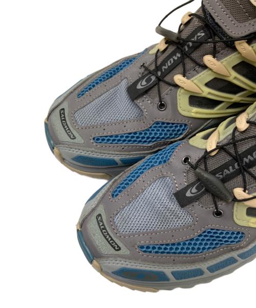 SALOMON（サロモン）SALOMON (サロモン) ローカットスニーカー グレー サイズ:26.0㎝の古着・服飾アイテム