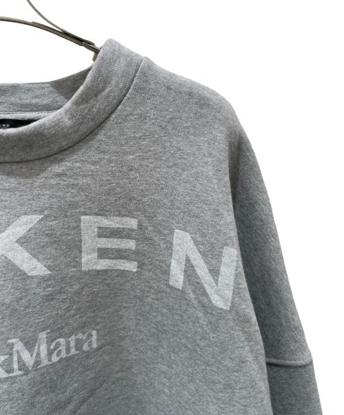 WEEKEND Max Mara（ウィークエンド マックスマーラ）WEEKEND Max Mara (ウィークエンド マックスマーラ) 裏起毛ロゴスウェット　2515921021 グレー サイズ:XLの古着・服飾アイテム