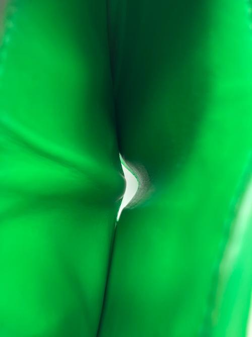 BOTTEGA VENETA（ボッテガベネタ）BOTTEGA VENETA (ボッテガベネタ) カセット スモール 二つ折りウォレット グリーンの古着・服飾アイテム