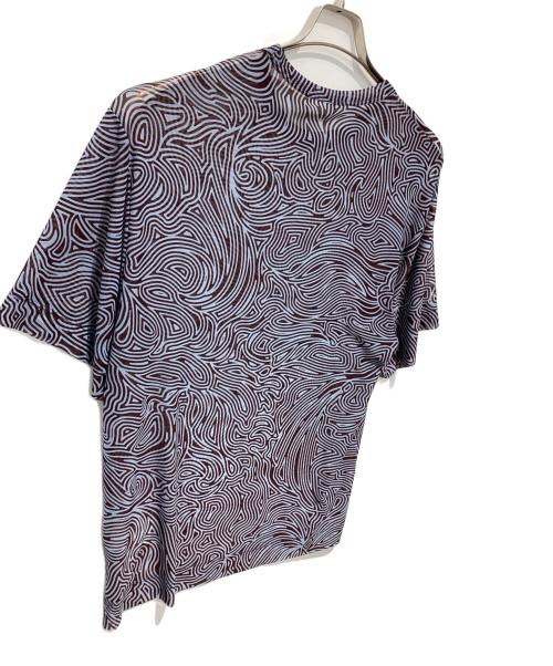 DRIES VAN NOTEN（ドリスヴァンノッテン）DRIES VAN NOTEN (ドリスヴァンノッテン) プリントメッシュＴシャツ ブラウン サイズ:Sの古着・服飾アイテム