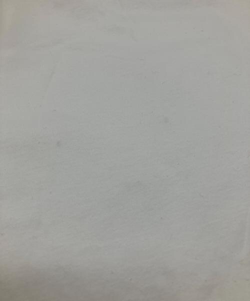 DRAWER（ドゥロワー）Drawer (ドゥロワー) コットンレースクルーネックTシャツ ホワイト サイズ:Freeの古着・服飾アイテム