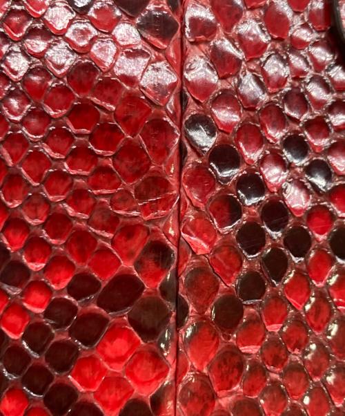 COCOCELUX GOLD（ココセリュックスゴールド）COCOCELUX GOLD (ココセリュックスゴールド) ハンドバッグ レッドの古着・服飾アイテム