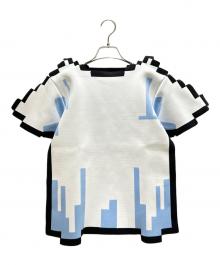 LOEWE（ロエベ）の古着「Pixelated Top/ピクセレイテッド トップス/S540Y14KCO」｜ホワイト