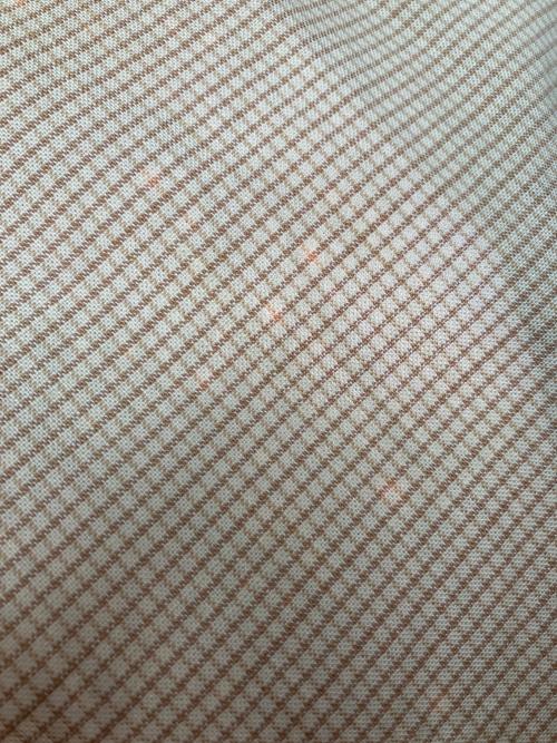 RRL（ダブルアールエル）RRL (ダブルアールエル) プルオーバーシャツ ベージュ サイズ:Sの古着・服飾アイテム