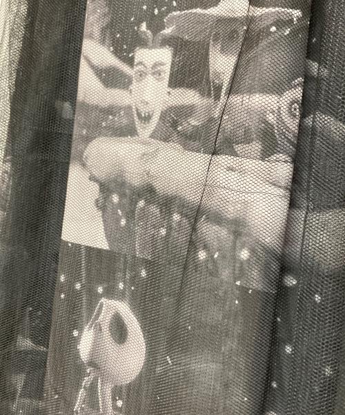 DISNEY（ディズニー）Disney (ディズニ) チュールスカート ブラック サイズ:フリーサイズの古着・服飾アイテム