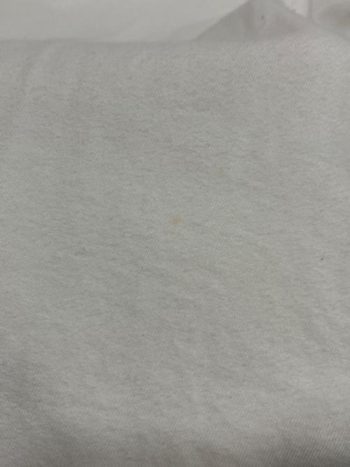 stussy（ステューシー）stussy (ステューシー) GREAT FUTURE SS TEE ホワイト サイズ:Mの古着・服飾アイテム