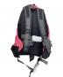 GREGORY (グレゴリー) BEAMS BOY (ビームスボーイ) 別注 VINTAGE DAY PACK ピンク 未使用品：20000円