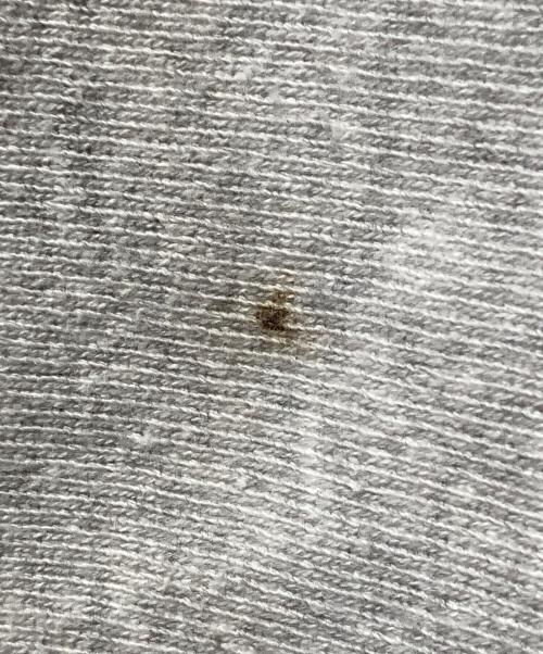 Champion REVERSE WEAVE（チャンピオン リバース ウィーブ）Champion REVERSE WEAVE (チャンピオン リバース ウィーブ) クルーネックスウェット グレー サイズ:Lの古着・服飾アイテム