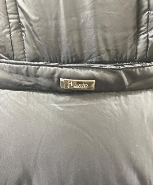 HERNO（ヘルノ）HERNO (ヘルノ) ダウンベスト サイズ:50の古着・服飾アイテム