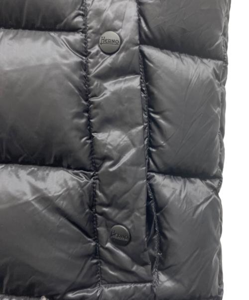 HERNO（ヘルノ）HERNO (ヘルノ) ダウンベスト サイズ:50の古着・服飾アイテム