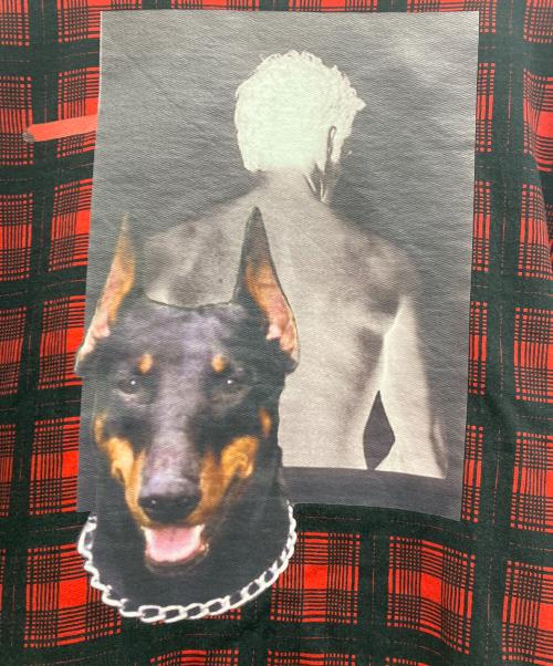 GIVENCHY（ジバンシィ）GIVENCHY (ジバンシィ) ドーベルマン クルーネックスウェット レッド サイズ:XSの古着・服飾アイテム