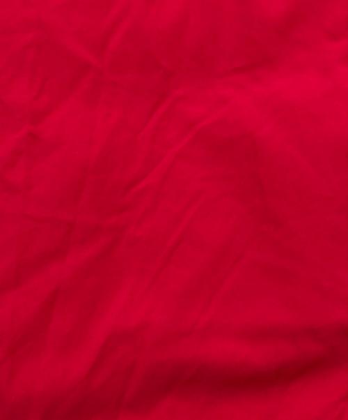 MONTGOMERY（モンゴメリー）MONTGOMERY (モンゴメリー) Aberdeen Down Coat レッド サイズ:3の古着・服飾アイテム