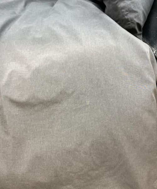 WOOLRICH（ウールリッチ）WOOLRICH (ウールリッチ) ARCTIC LONG DOWN PARKA グレー サイズ:USA S EU Mの古着・服飾アイテム