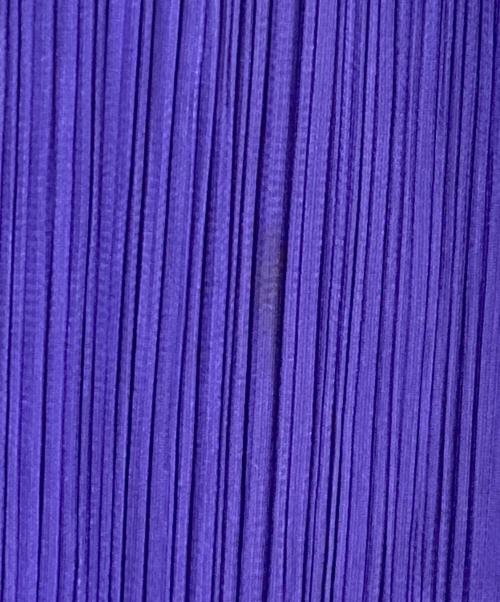 PLEATS PLEASE（プリーツプリーズ）PLEATS PLEASE (プリーツプリーズ) プリーツスカート パープル サイズ:４の古着・服飾アイテム