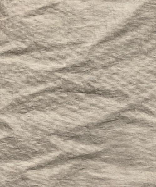 TODAYFUL（トゥデイフル）TODAYFUL (トゥデイフル) Monster Down Coat ベージュ サイズ:36の古着・服飾アイテム