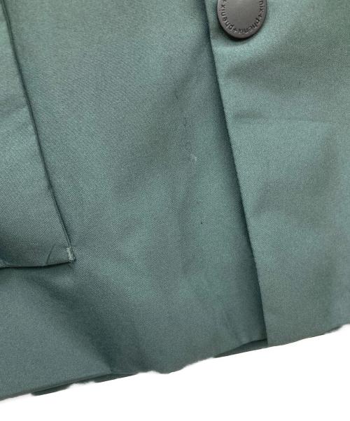 PHENIX（フェニックス）PHENIX (フェニックス) GORE-TEX INFINIUM FISHING JACKET グリーン サイズ:Mの古着・服飾アイテム