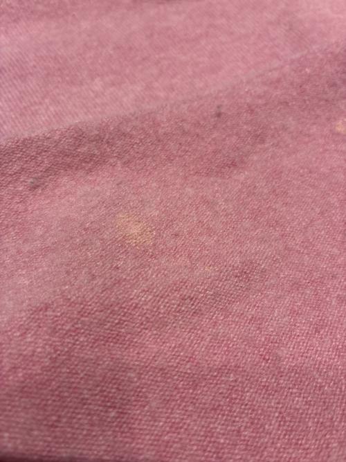 extreme cashmere（エクストリーム カシミア）extreme cashmere (エクストリーム カシミア) n°53 crew hop/カシミヤニット ピンク サイズ:FREEの古着・服飾アイテム