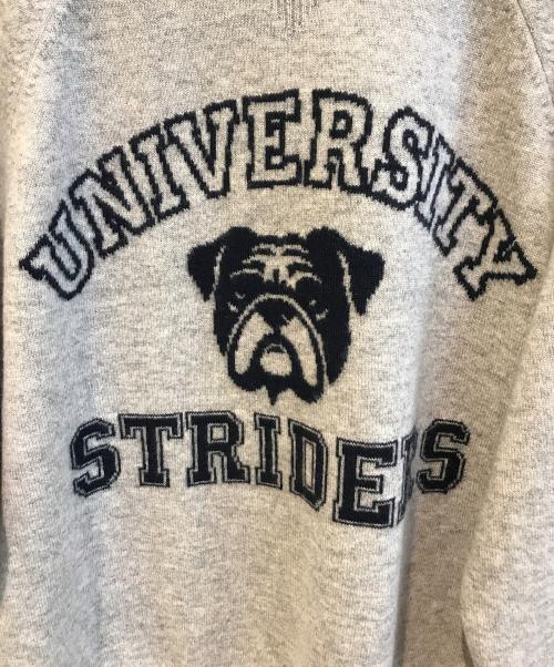 PLUS PLUS（プラスプラス）PLUS PLUS (プラスプラス) ジャガードバックナンバリングカシミヤニット グレー サイズ:Freeの古着・服飾アイテム