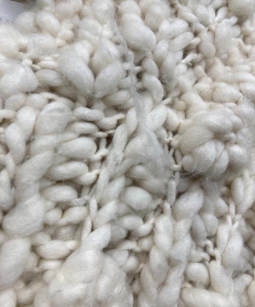 MAYDI（マイディ）MAYDI (マイディ) ニットベスト アイボリー サイズ:Sの古着・服飾アイテム