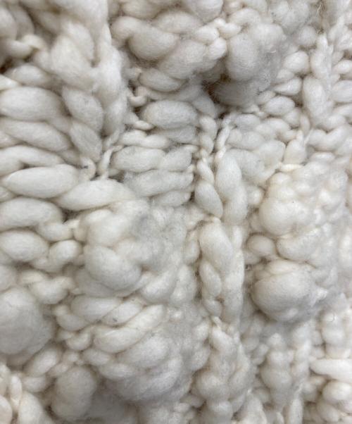 MAYDI（マイディ）MAYDI (マイディ) ニットベスト アイボリー サイズ:Sの古着・服飾アイテム