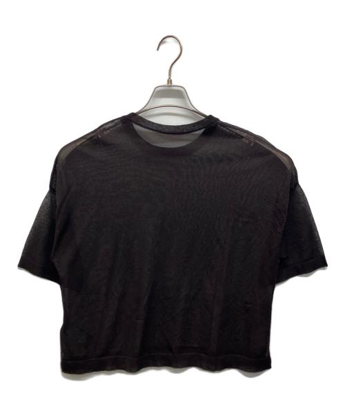 L'appartement（アパルトモン）L'Appartement (アパルトモン) Sheer T-shirts ブラウン サイズ:Freeの古着・服飾アイテム
