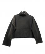EVERYDAY I LIKE.エヴリデイ アイ ライク）の古着「Neo Cropped タートルネック プルオーバー」｜チャコールグレー