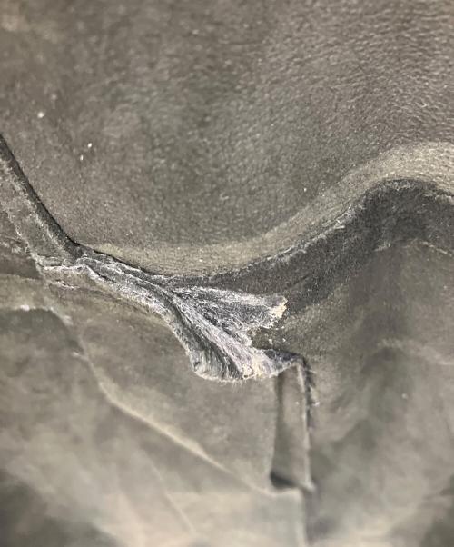 ALL SAINTS（オールセインツ）ALL SAINTS (オールセインツ) SURVEY LEATHER BLAZER グレー サイズ:Sの古着・服飾アイテム