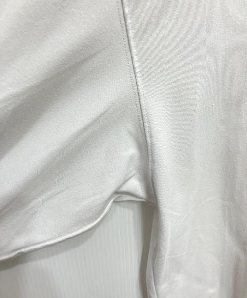 NIKE ACG（ナイキエーシージー）NIKE ACG (ナイキエーシージー) DF TEE LS TRLL BR SUMMIT ホワイト サイズ:XLの古着・服飾アイテム