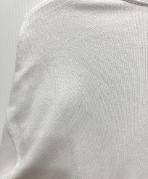 NIKE ACG（ナイキエーシージー）NIKE ACG (ナイキエーシージー) DF TEE LS TRLL BR SUMMIT ホワイト サイズ:XLの古着・服飾アイテム