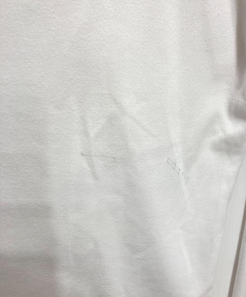 NIKE ACG（ナイキエーシージー）NIKE ACG (ナイキエーシージー) DF TEE LS TRLL BR SUMMIT ホワイト サイズ:XLの古着・服飾アイテム