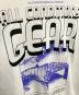中古・古着 NIKE ACG (ナイキエーシージー) DF TEE LS TRLL BR SUMMIT ホワイト サイズ:XL：4000円