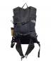 THE NORTH FACE (ザ ノース フェイス) アイビス16 ブラック 未使用品：10000円