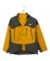 THE NORTH FACE（ザ ノース フェイス）の古着「ウインターダンスジャケット」｜イエロー×グレー