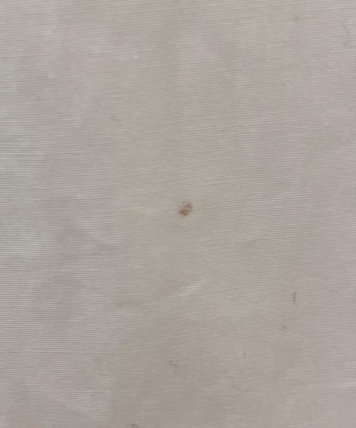 JIL SANDER（ジルサンダー）JIL SANDER (ジルサンダー) 7 DAYS SHIRTS SATURDAY ホワイト サイズ:42の古着・服飾アイテム